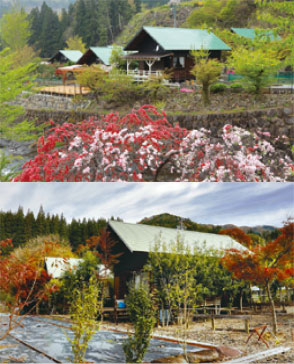 春の花々と山々が紅葉の画像