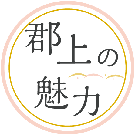 郡上の魅力